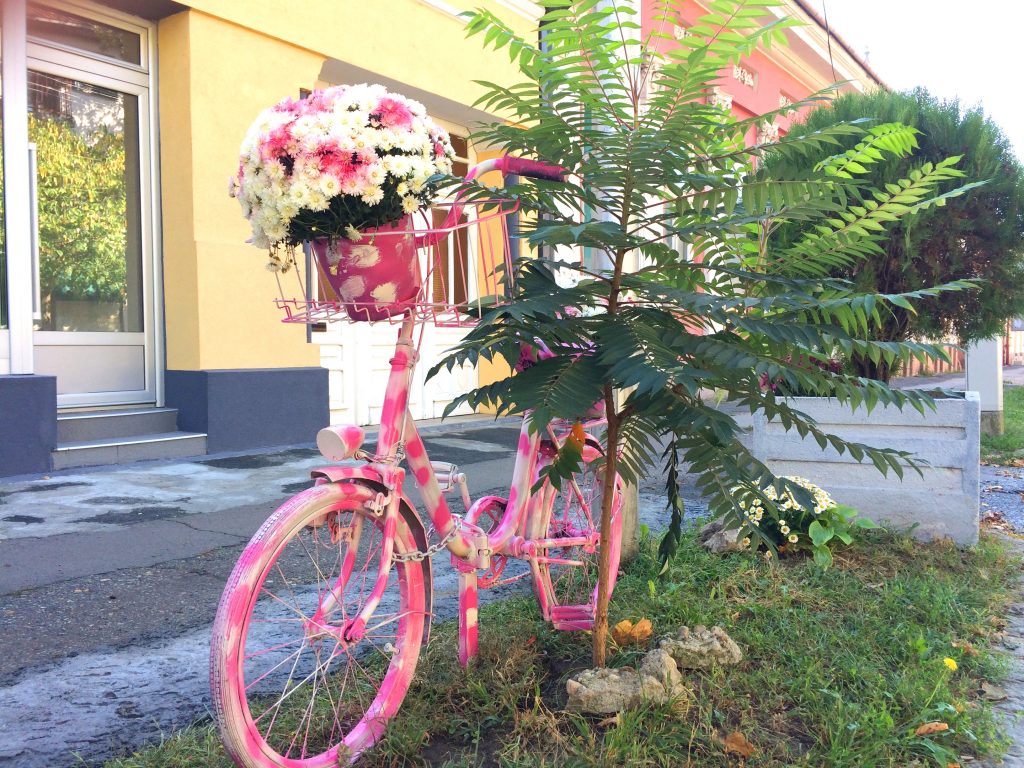 Cvetni bicikl