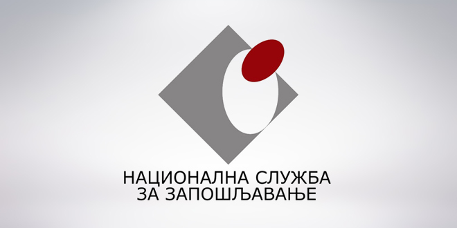 NSZ Logo